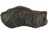 Chondrite Meteorite ( g) - Western Sahara Desert #222639-2